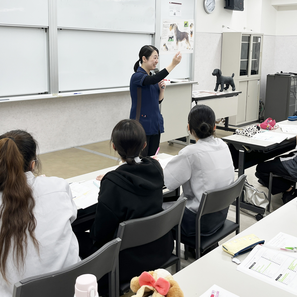 １年生、犬種を学ぶ「犬学」